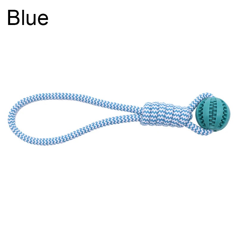 Pet Tooth Cleaning Rubber Ball Toy with Rope – Leaking Treat Chew Toy for Small & Large Dogs