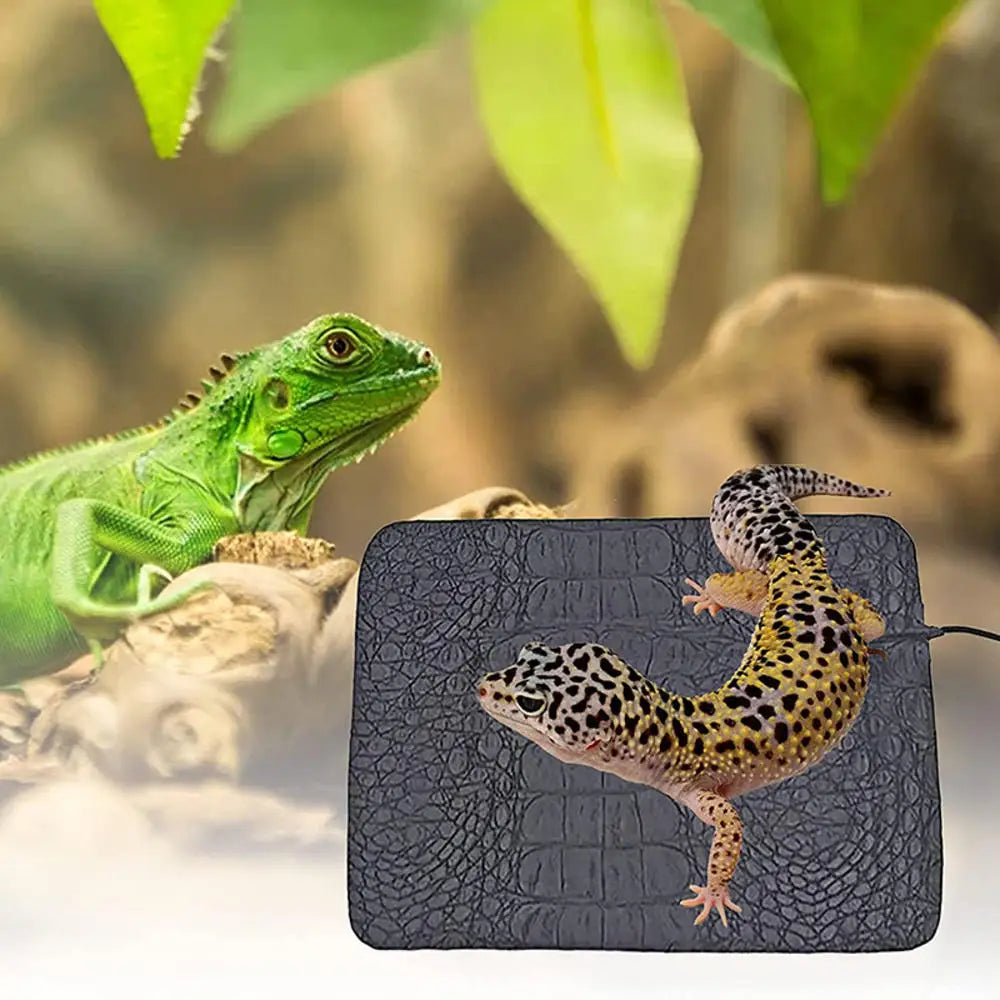 USB Pet Heating Pad – Adjustable Electric Warmer Mat for Cats, Dogs & Reptiles, Two Sizes
