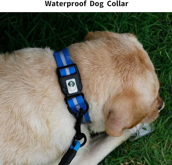 🐶 Waterproof Adjustable Dog Collar – Soft, Durable & Reflective (S/M/L)
