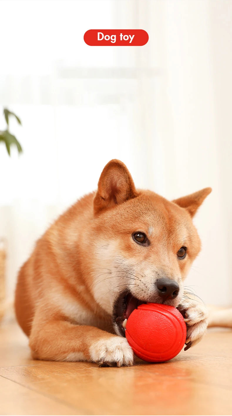 Indestructible Rubber Dog Ball – Durable Bouncy Chew Toy ⚽🐾