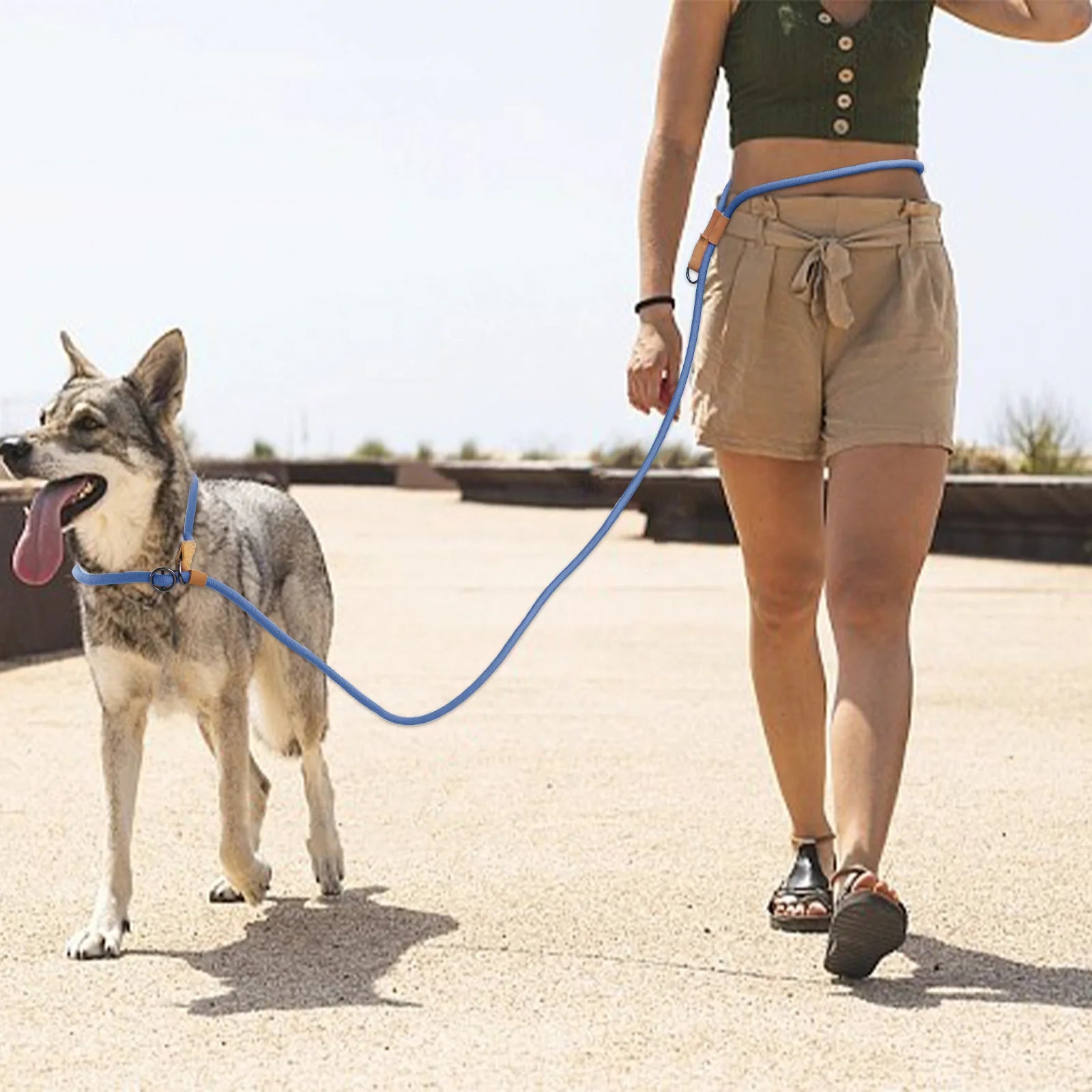 Adjustable Multi-Functional Dog Leash – Hands-free P-Chain Lead (2.1m/3m)