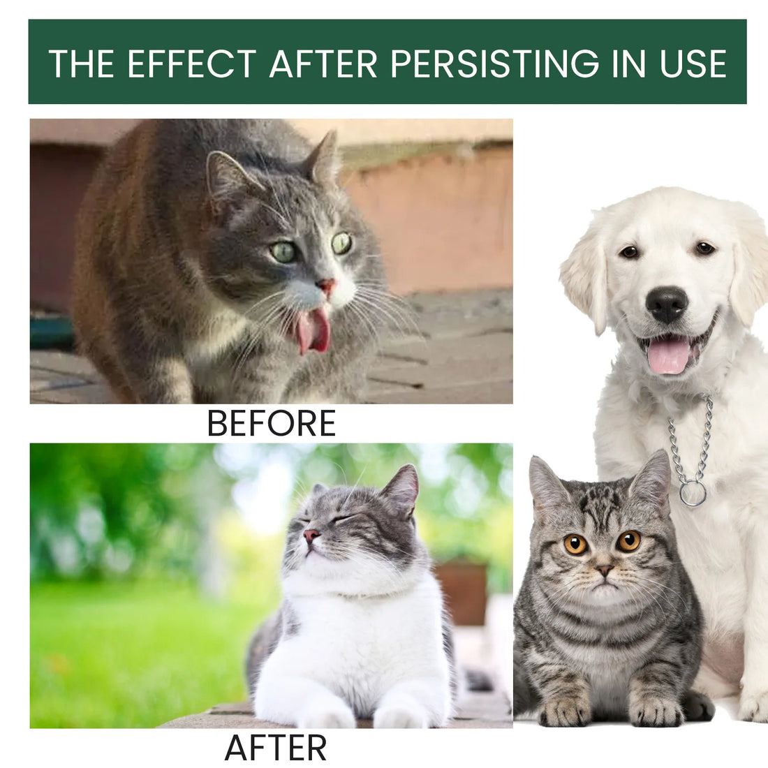 Pet Multivitamin Health Drops – Boost Immunity, Oral Care & Digestive Support for Dogs & Cats