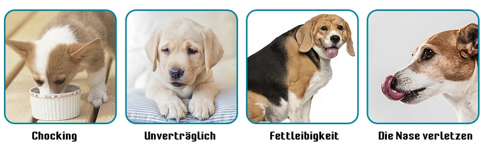 Suction Cup Slow Feeder Bowl – Anti-Choking & Easy-Clean 🐾🍽️