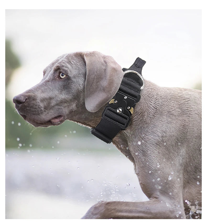 Tactical Dog Collar – Durable Outdoor Collar with Rugged Zinc Alloy Buckle & Soft Lining for Medium & Large Dogs