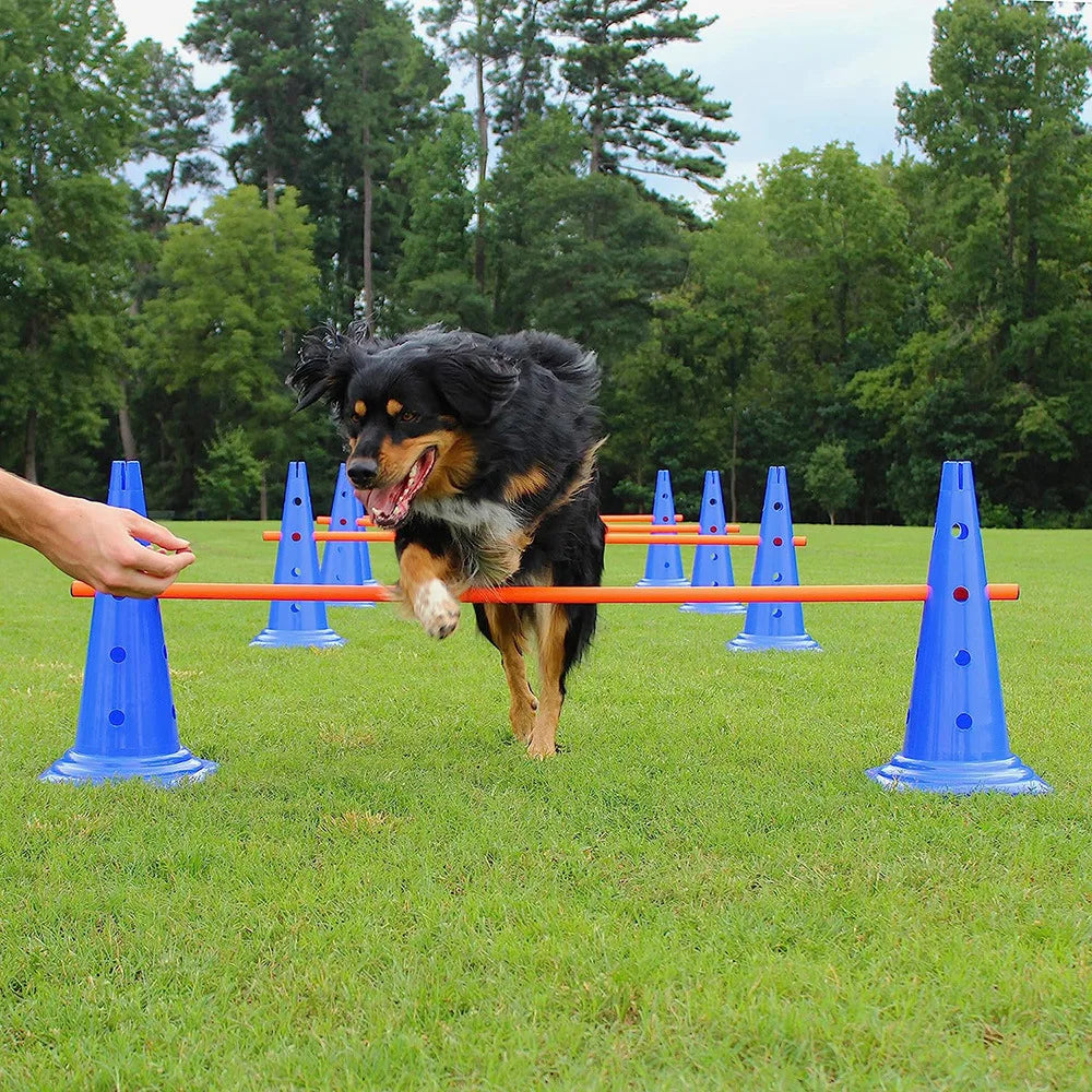 Dog Agility Training Equipment Set – Jumping Bar & Obstacle Course for Pet Exercise & Obedience Training