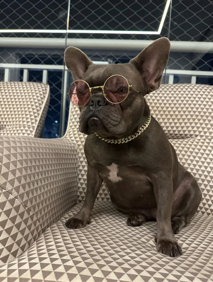 Diamond Cuban Link Dog Chain – Metal Pet Necklace for Dogs & Cats