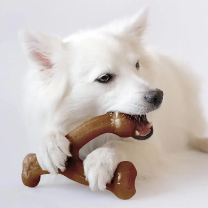 Durable Nylon Dog Chew Bone – Bite-Resistant Stick Toy 🐾🦴