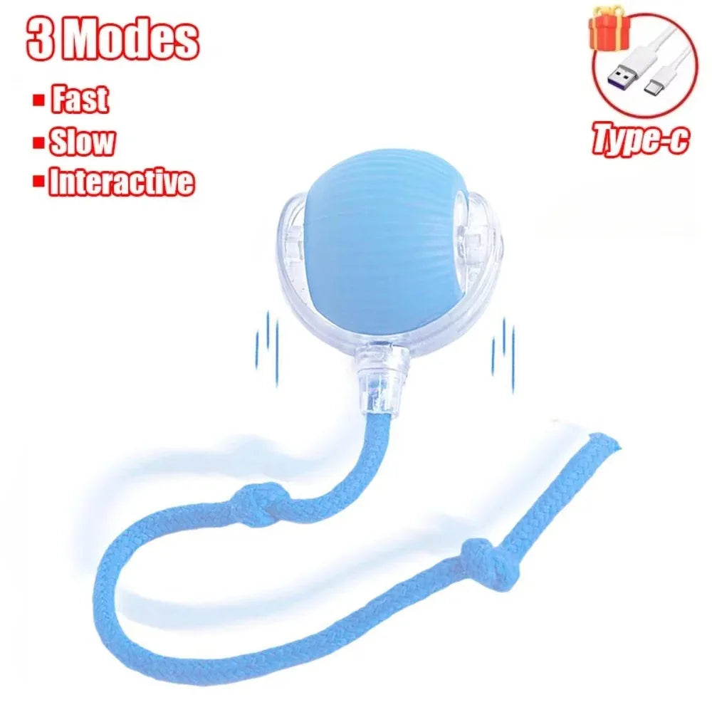 Smart Rolling Cat Toy – Rechargeable Ball with Faux Tail & Mouse Simulation