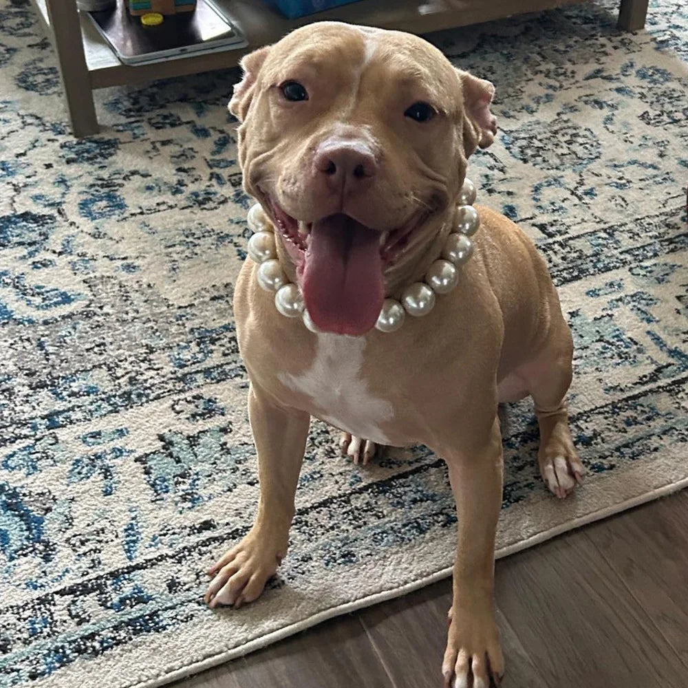 Elegant Imitation Pearl Pet Collar – Durable Decorative Necklace for Small Dogs & Cats