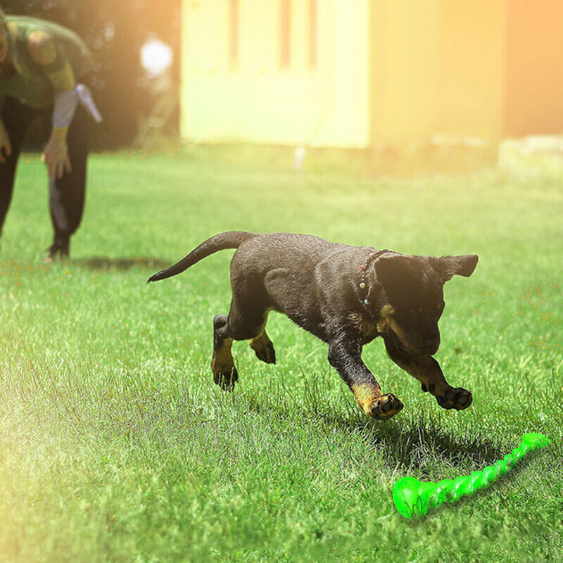 Durable Rubber Dog Chew Stick – Teeth Cleaning Training Toy 🐾🦴