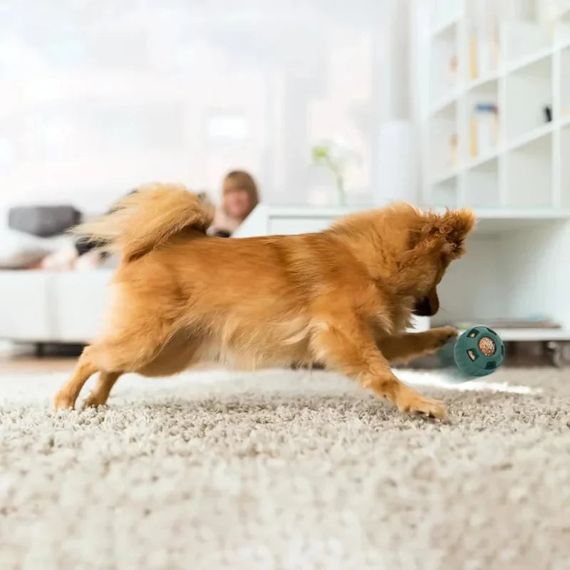 Fillable Food Dog Toy – Slow Licking Silicone Feeder Ball & Frozen Treat Dispenser for Dogs