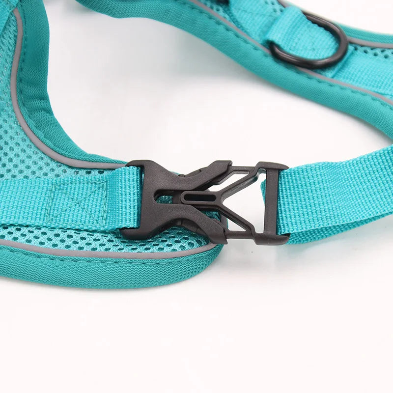 🐾 Fashion Reflective Cat Harness & Leash Set – Breathable Mesh for Cats & Small Dogs