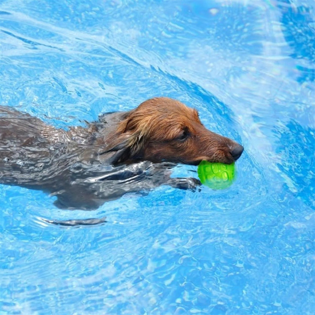 Waterproof Squeaky Dog Ball – Bite-Resistant Chew & Training Toy ⚽🐾