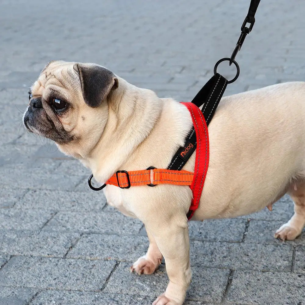 🐶 Reflective No-Pull Nylon Dog Harness – Adjustable Vest for Small to Large Dogs 🐾