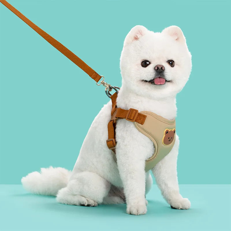 🐾 Breathable Pet Dog Harness & Leash Set – For Small & Medium Dogs & Cats
