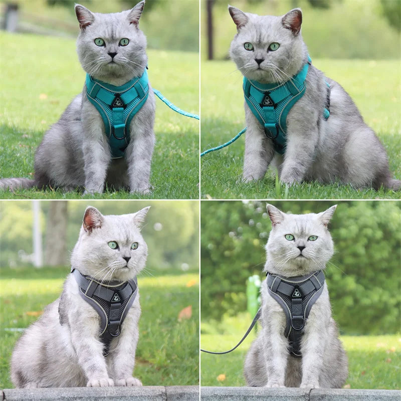 🐾 Fashion Reflective Cat Harness & Leash Set – Breathable Mesh for Cats & Small Dogs