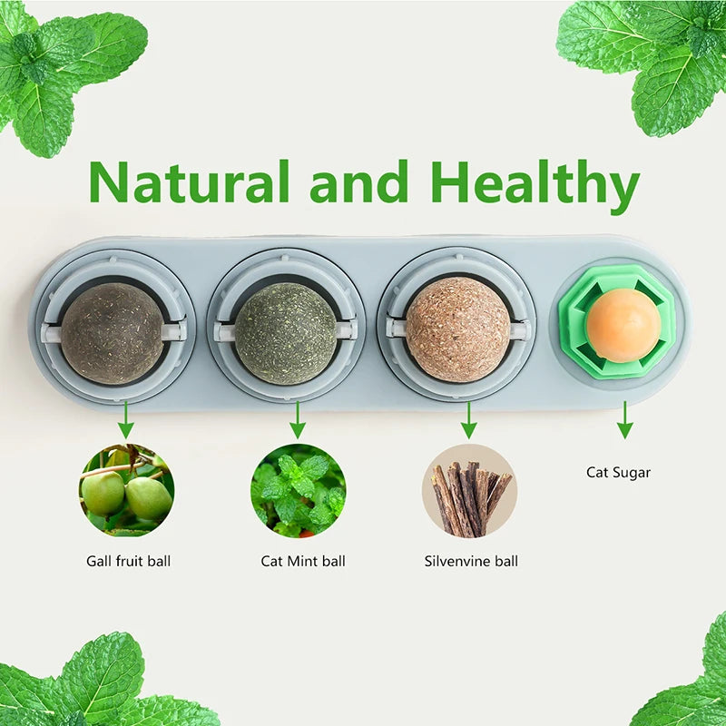 Catnip Silvervine Balls – Edible Wall Chew Toys for Dental & Energy Boost