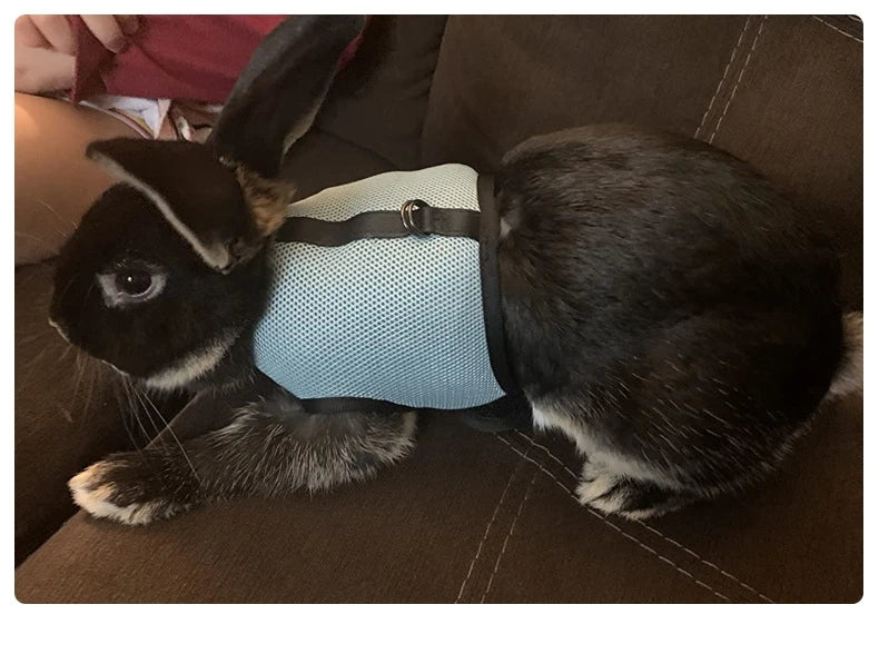 Breathable Pet Vest Harness & Leash Set – Adjustable for Rabbits & Small Pets