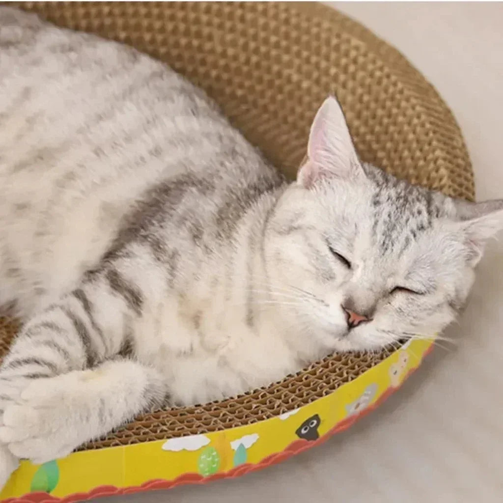 🐱 Oval Cat Scratching Board – Furniture Protector & Cozy Cat Nest