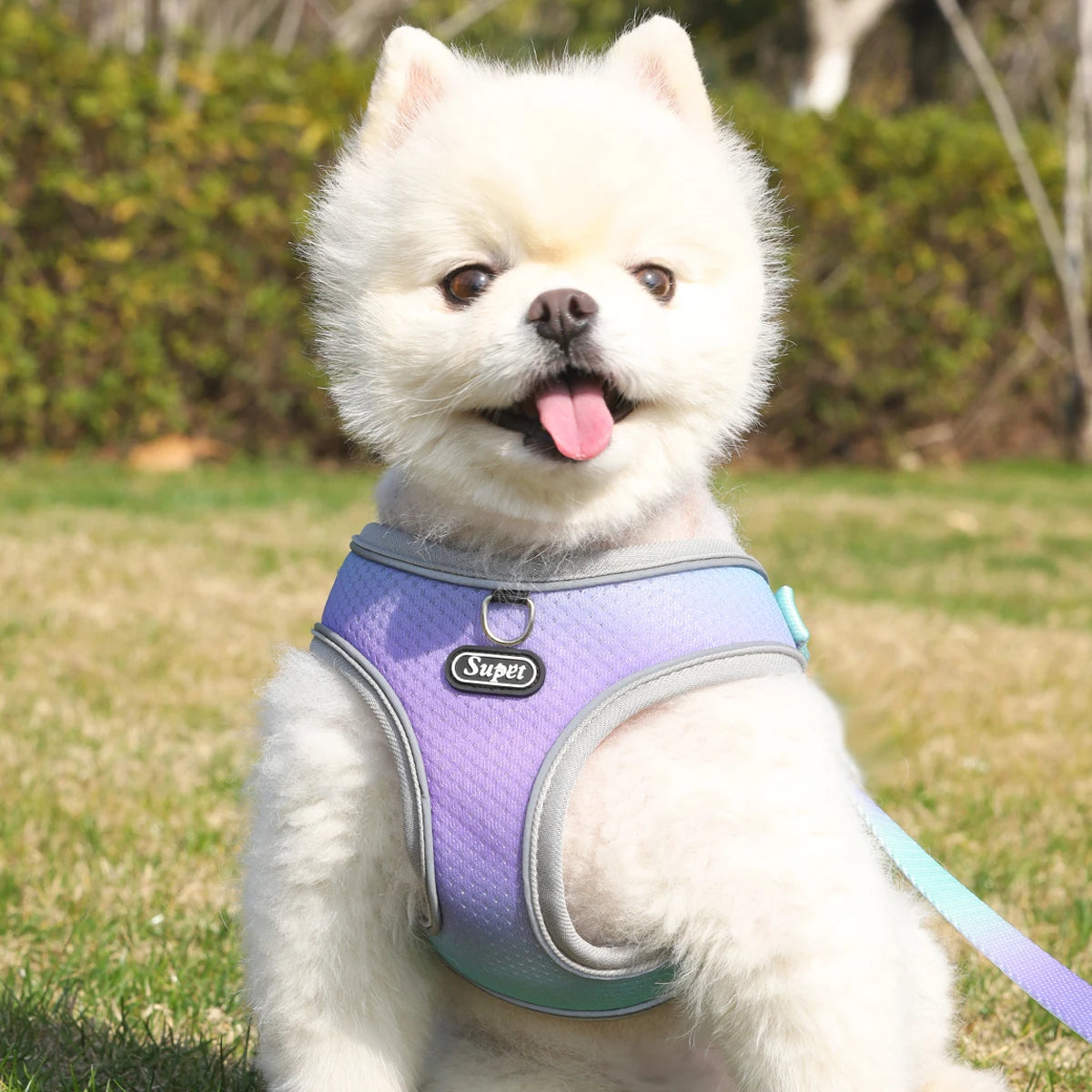 🐾 Supet Step-In Pet Harness – Adjustable, Reflective & Breathable for Dogs & Cats 🐶🐱