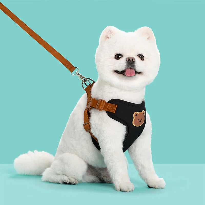 🐾 Breathable Pet Dog Harness & Leash Set – For Small & Medium Dogs & Cats