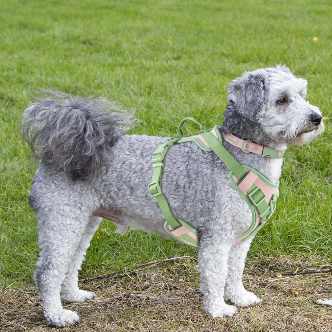 Splicing Color Dog Harness – No-Pull, Adjustable & Personalized