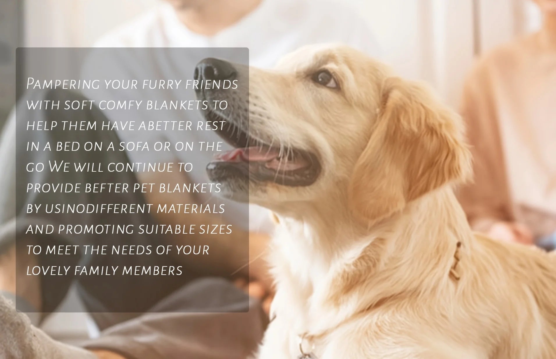 Anti-Leakage Reversible Dog Bed Cover – Washable Paw Print Camping & Changing Pad for Pets & Kids