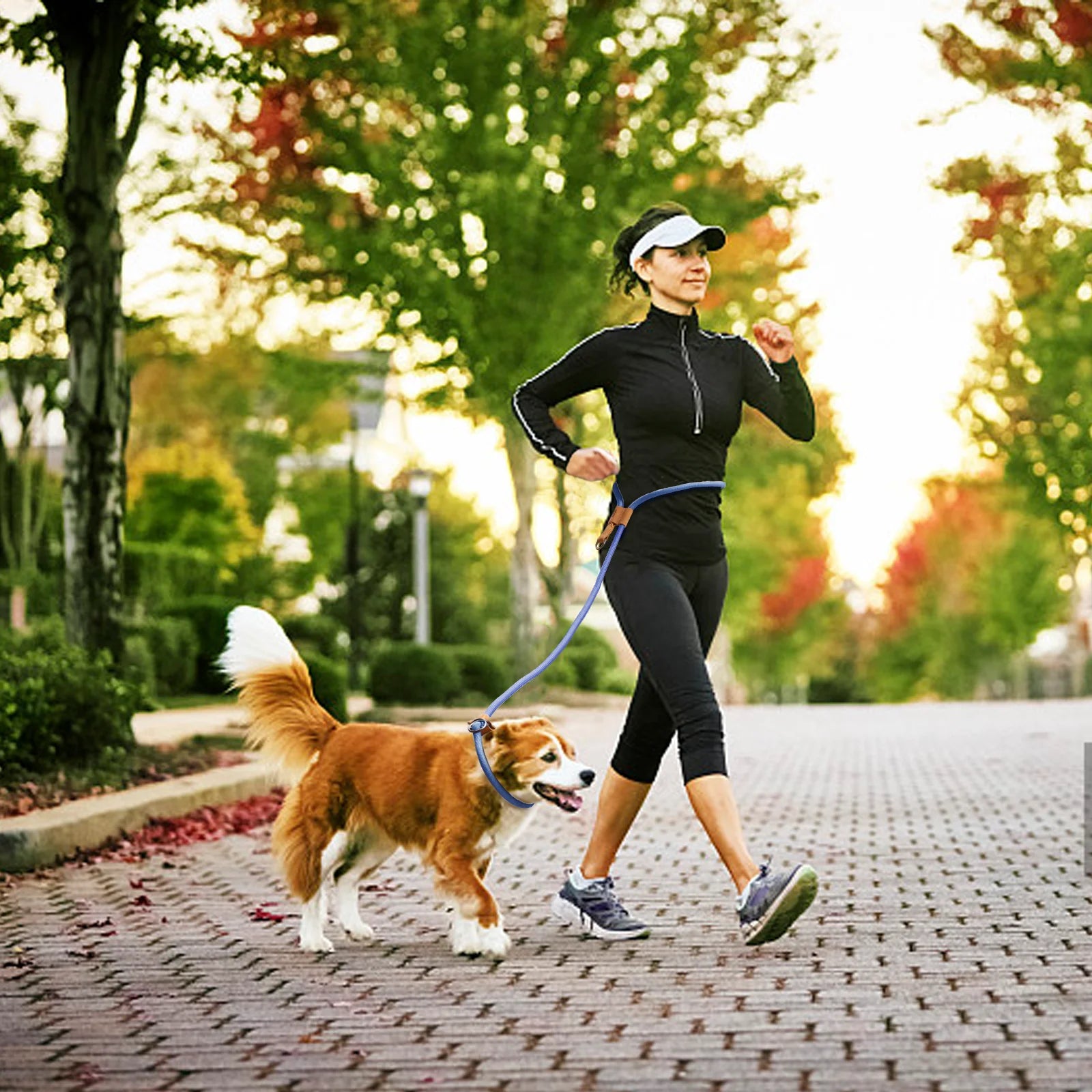 Adjustable Multi-Functional Dog Leash – Hands-free P-Chain Lead (2.1m/3m)