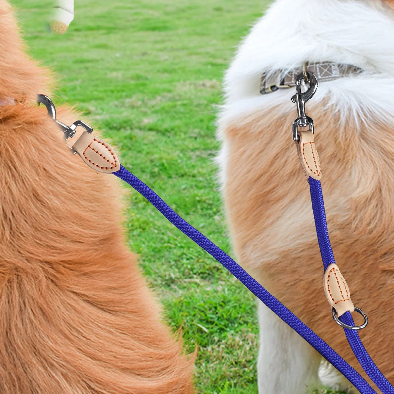 🐕‍🦺 210cm Multipurpose Adjustable Double Dog Leash – Hands-Free Luxury Nylon Leash for 2 Small/Medium Dogs