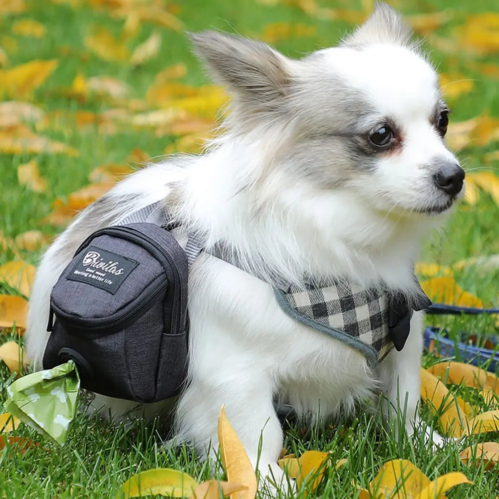 Portable Dog Training Treat Pouch – Outdoor Waist Bag with Poop Bag Dispenser for Puppy Snack Rewards
