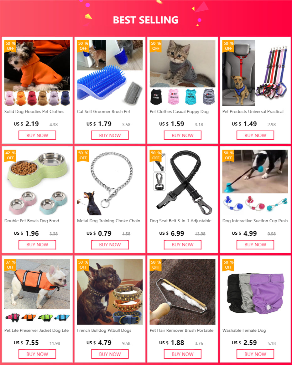 Nylon Slip Rope Dog Leash – No-Pull Training Lead for Small Dogs