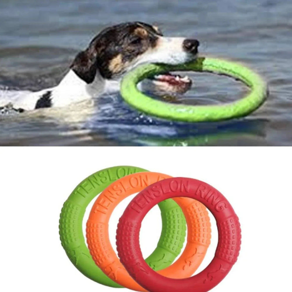 Floating Dog Training Ring – Chew-Resistant Water Toy for Small Dogs