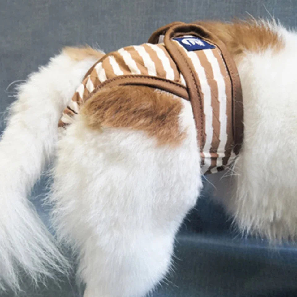 Washable Dog Diaper Shorts – Female Sanitary Panties for Menstruation