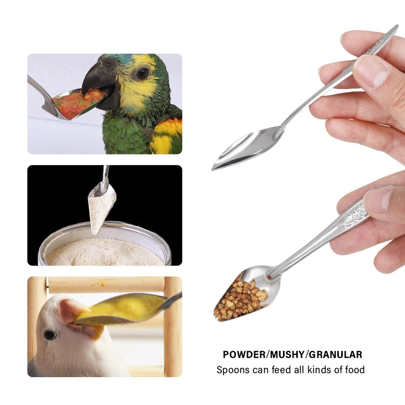 🐦 Stainless Steel Bird Feeding Spoon – Pet Bird & Parrot Cage Feeder Tool