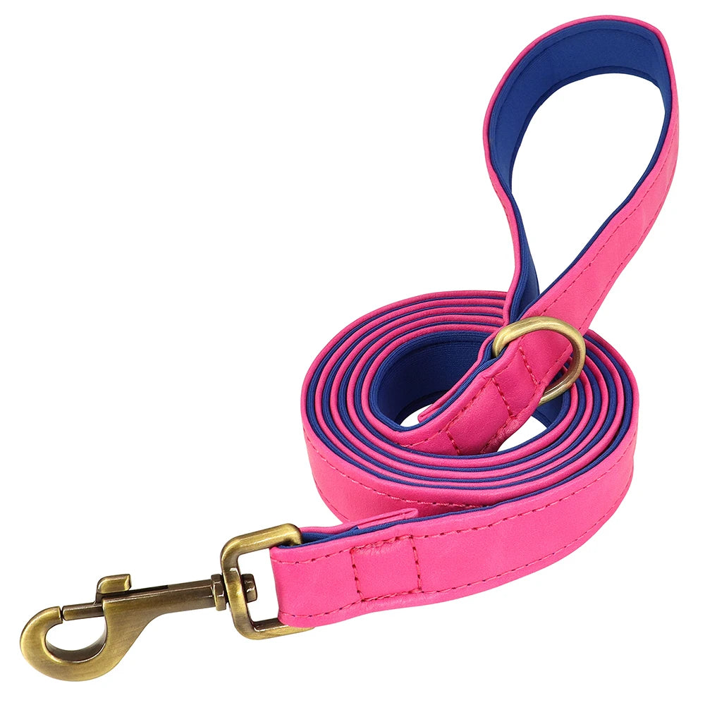Custom Leather Dog Collar & Leash Set – Soft Padded with Engraved Nameplate