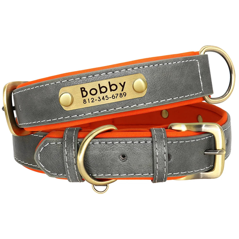 Custom Leather Dog Collar & Leash Set – Soft Padded with Engraved Nameplate