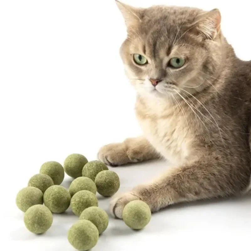 10pcs Natural Mint Catnip Balls – Healthy Toy & Snack for Cats