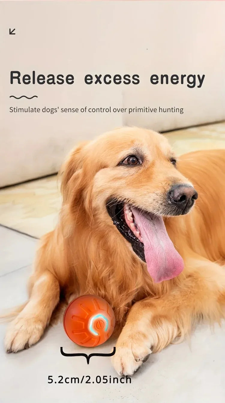 Smart Dog Toy Ball – Automatic Bouncing, USB Rechargeable, Interactive Pet Toy