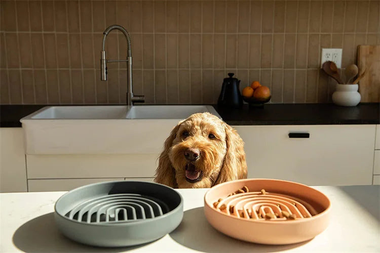 Slow Feeder Pet Bowl – Anti-Slip & Anti-Choking for Cats & Puppies 🐾🍽️