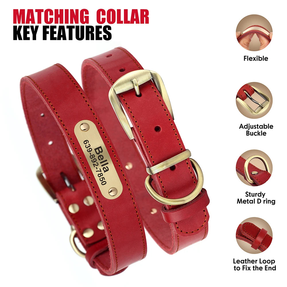 Personalized Leather Dog Collar & Leash Set – Engraved ID for Small to Large Dogs