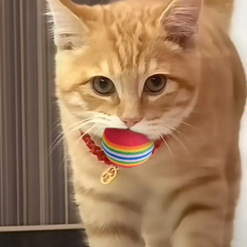 10/100PCS Rainbow EVA Pet Toy Balls – Interactive Jumping Cat & Dog Training Balls