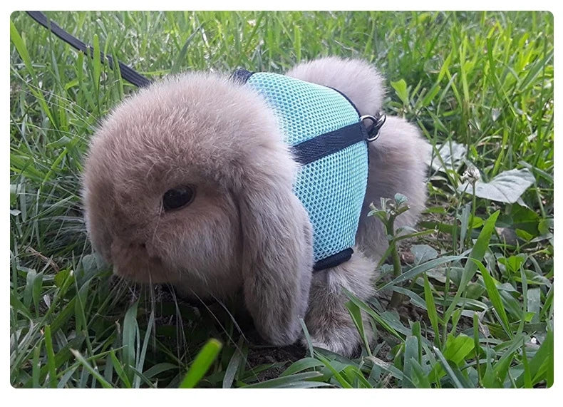 Breathable Pet Vest Harness & Leash Set – Adjustable for Rabbits & Small Pets