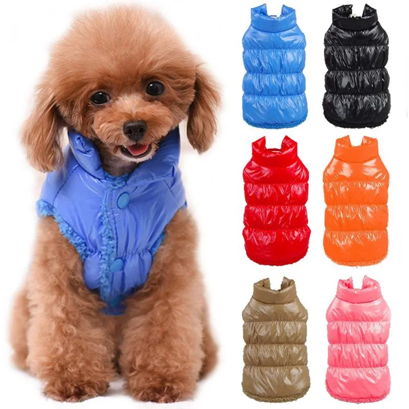 Indestructible Dog Chew Toy for Aggressive Chewers 🐶💪