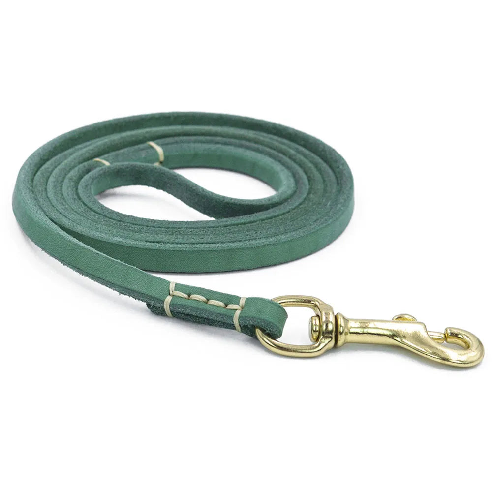 Handmade Genuine Leather Dog Leash – Lightweight Lead for Small Dogs & Cats