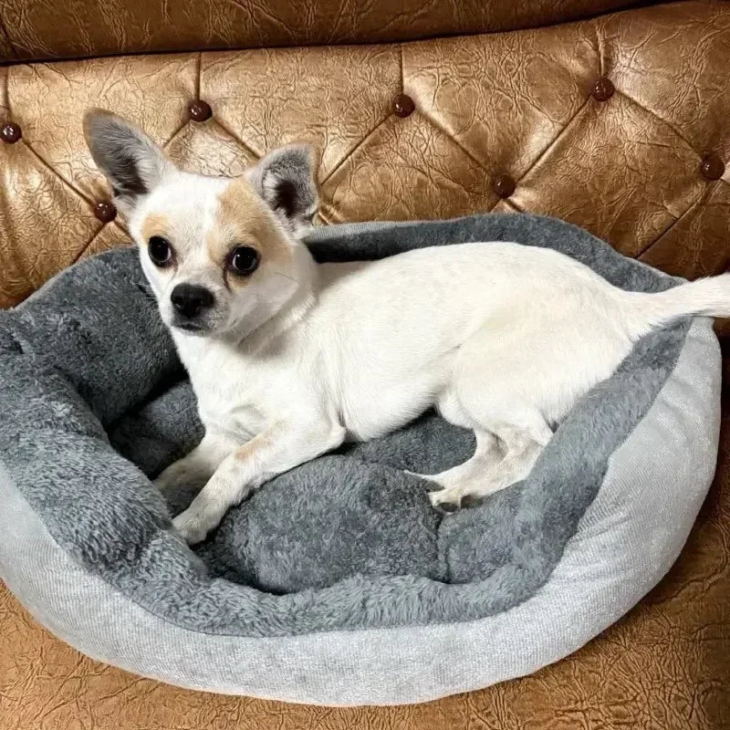 Very Soft Warm Dog Bed Sofa – Cozy Pet Basket for Medium & Large Dogs & Cats