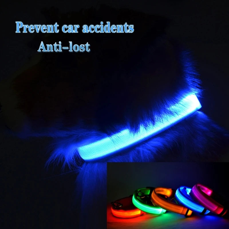 LED Dog Collar Light – USB Rechargeable/Battery Night Safety Glow Collar for Dogs & Puppies, Anti-Lost Pet Accessory