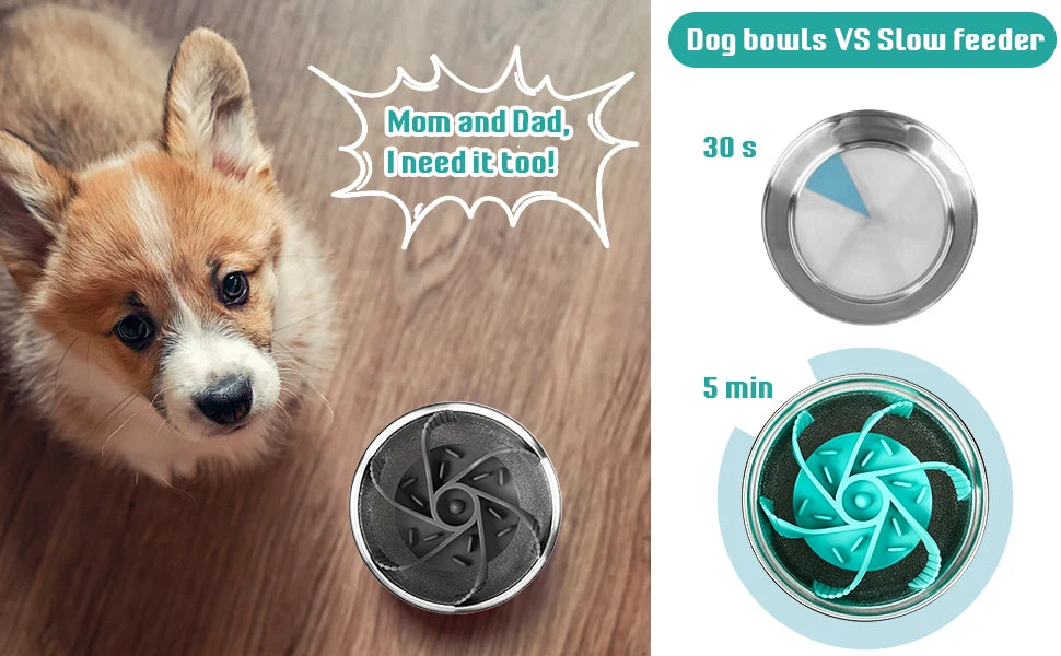 Suction Cup Slow Feeder Bowl – Anti-Choking & Easy-Clean 🐾🍽️