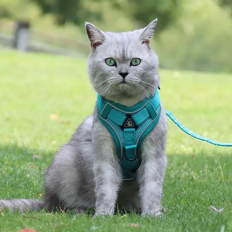 🐾 No Pull Dog Harness & Leash Set – Adjustable Reflective Vest for Small Dogs & Cats