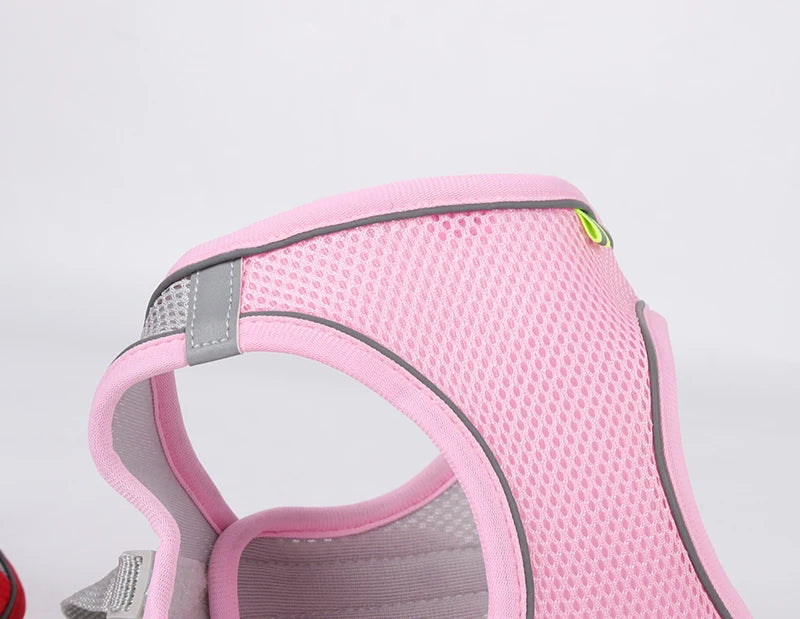 🐾 Adjustable Dog Harness & Leash Set – For Small Dogs, Cats, French Bulldogs, Chihuahuas & Pugs