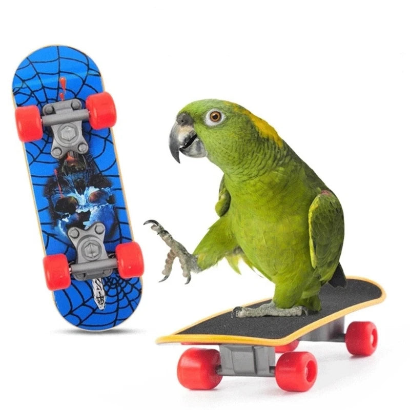 4-in-1 Parrot Bird Toy Set – Basketball, Skateboard, Stacking Ring, and Shopping Cart Interactive Training Toys